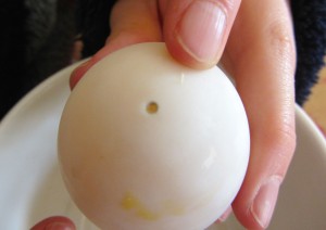 Blowing Eggs 3